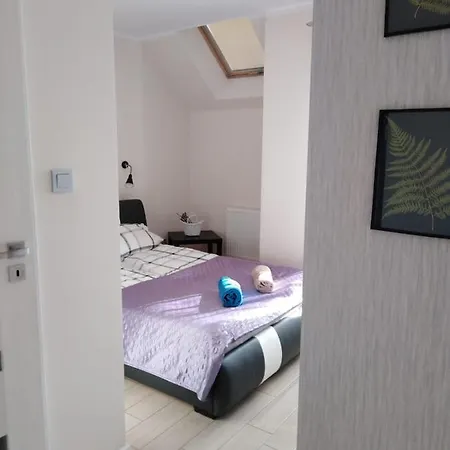 Apartament Z Pieknym Widokiem Polanica Ogrodowa Wille Parkowe Exterior foto